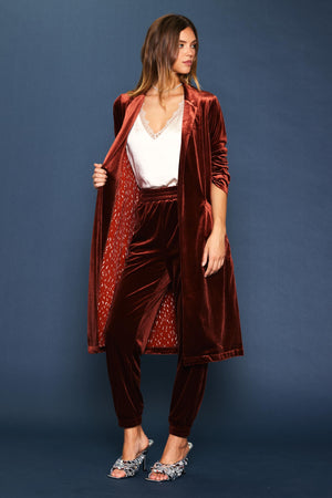 
                  
                    Amber Velvet Blazer Duster
                  
                