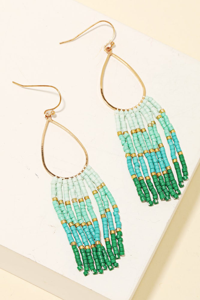 Fringe with Benefits Earrings ((Mint))